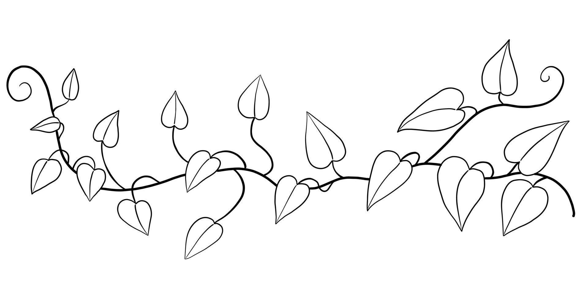 Simplicity ivy freehand drawing flat design. vector