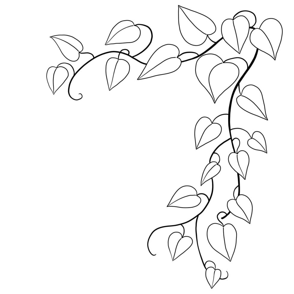 Simplicity ivy freehand drawing flat design. vector