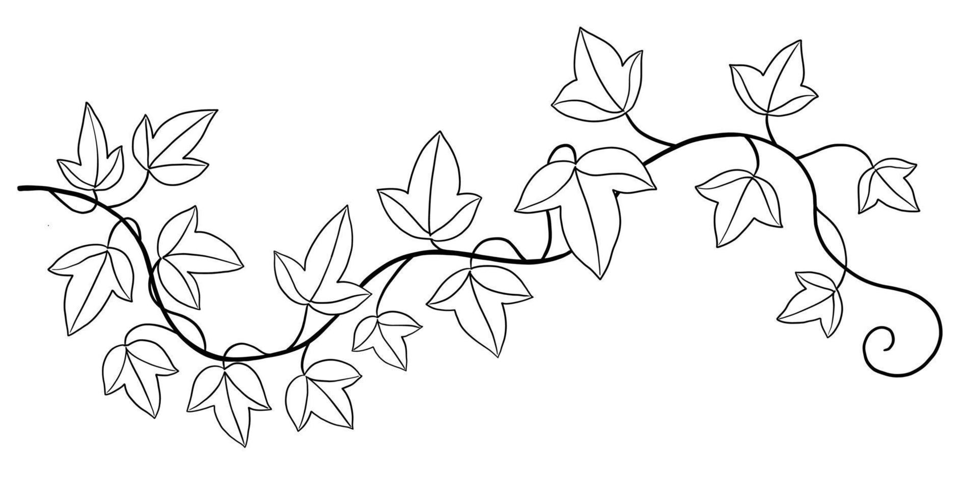 Ivy Pattern Vector Art, Icons, and Graphics for Free Download Ivy Pattern Vector Art, Icons, and Graphics for Free Download