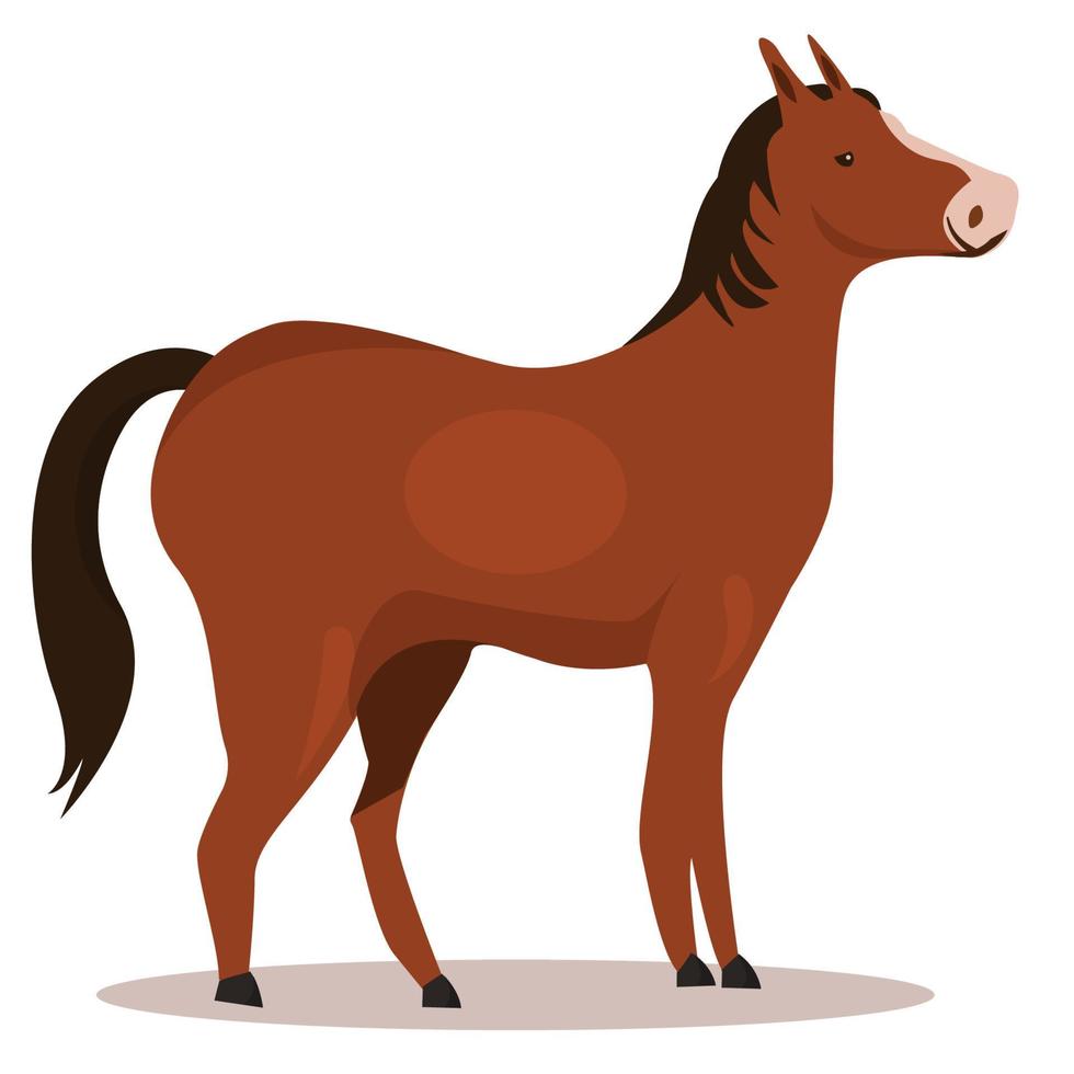 A horse in cartoon style 7450089 Vector Art at Vecteezy A horse in cartoon style 7450089 Vector Art at Vecteezy