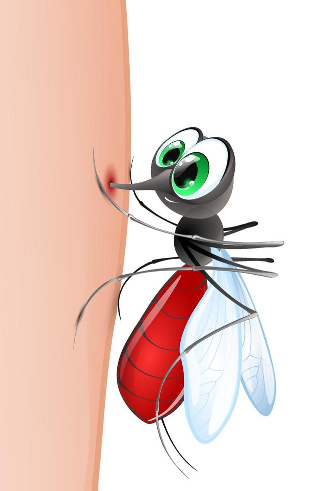 Mosquito bites human skin vector