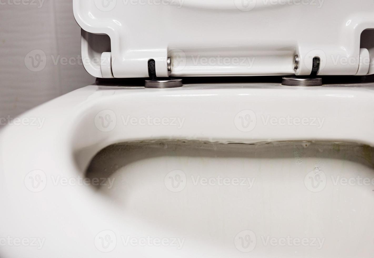 cleaning of toilets photo