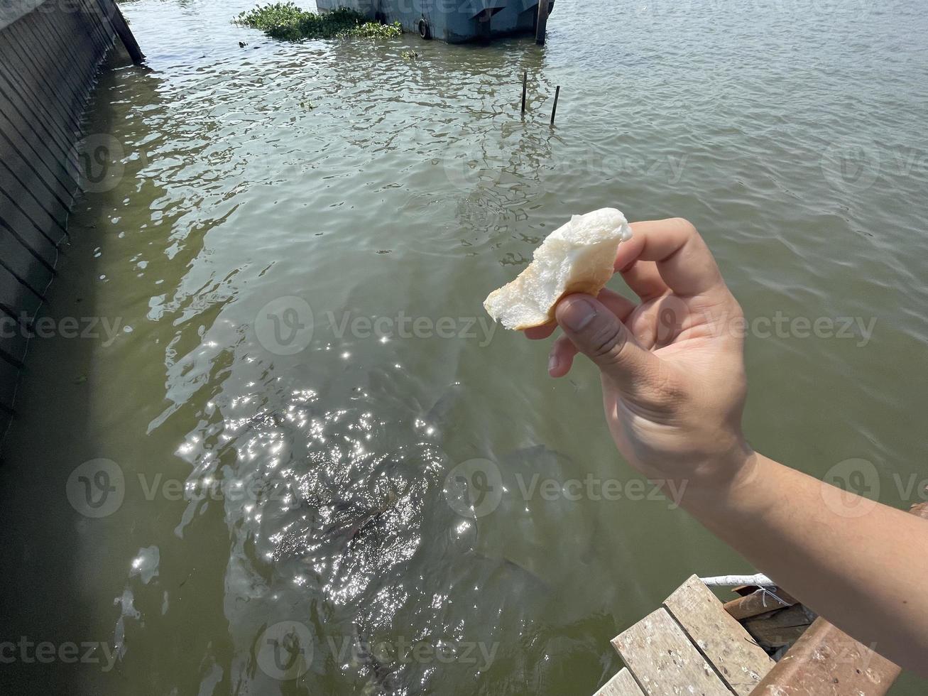 alimentando a los peces junto al río en tailandia, disfruté de mis vacaciones alimentando a los peces. foto