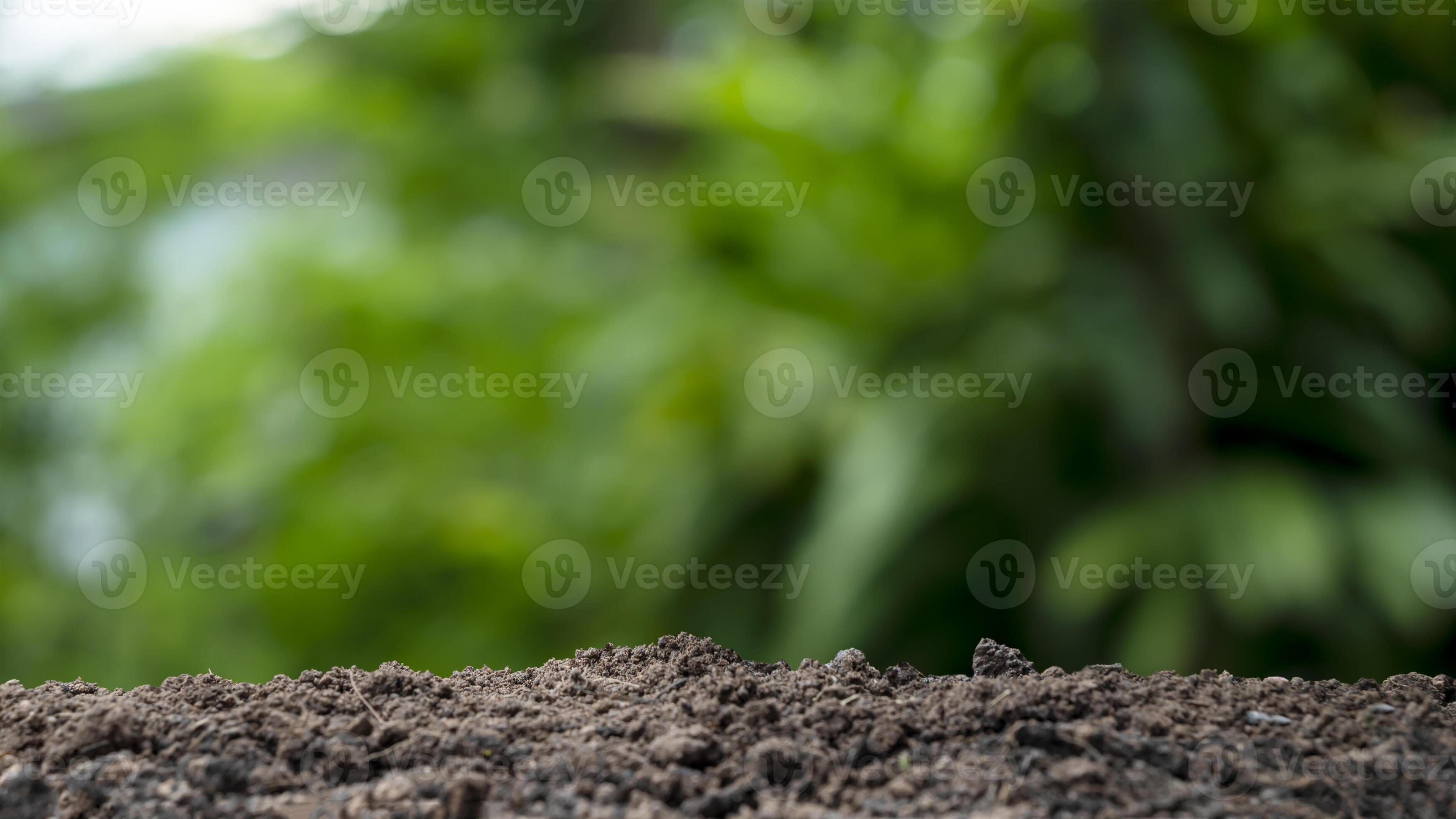 fertile soil and blurred green nature background Concept of nature,  environment, and natural environment conservation. 7450677 Stock Photo at  Vecteezy