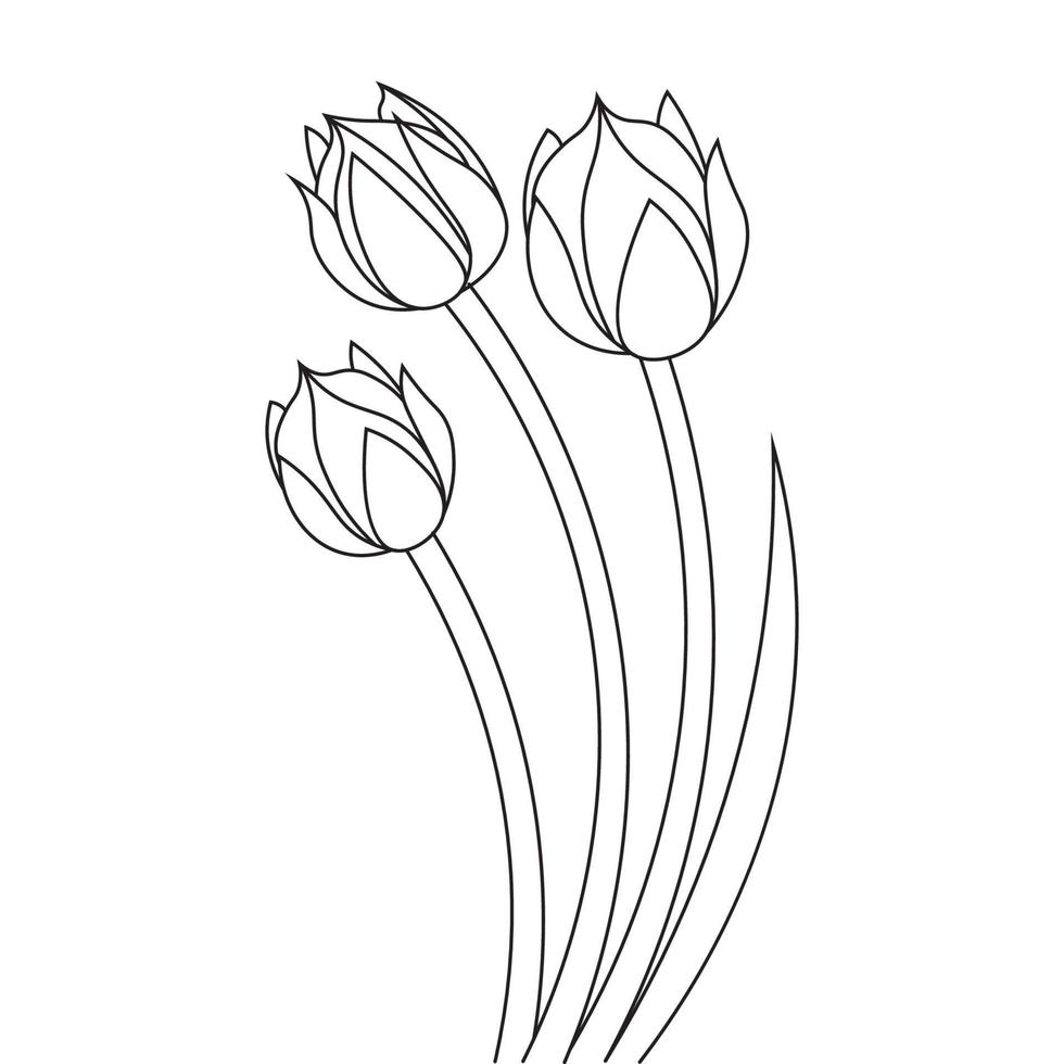 tulip flower coloring page element for kids coloring book vector