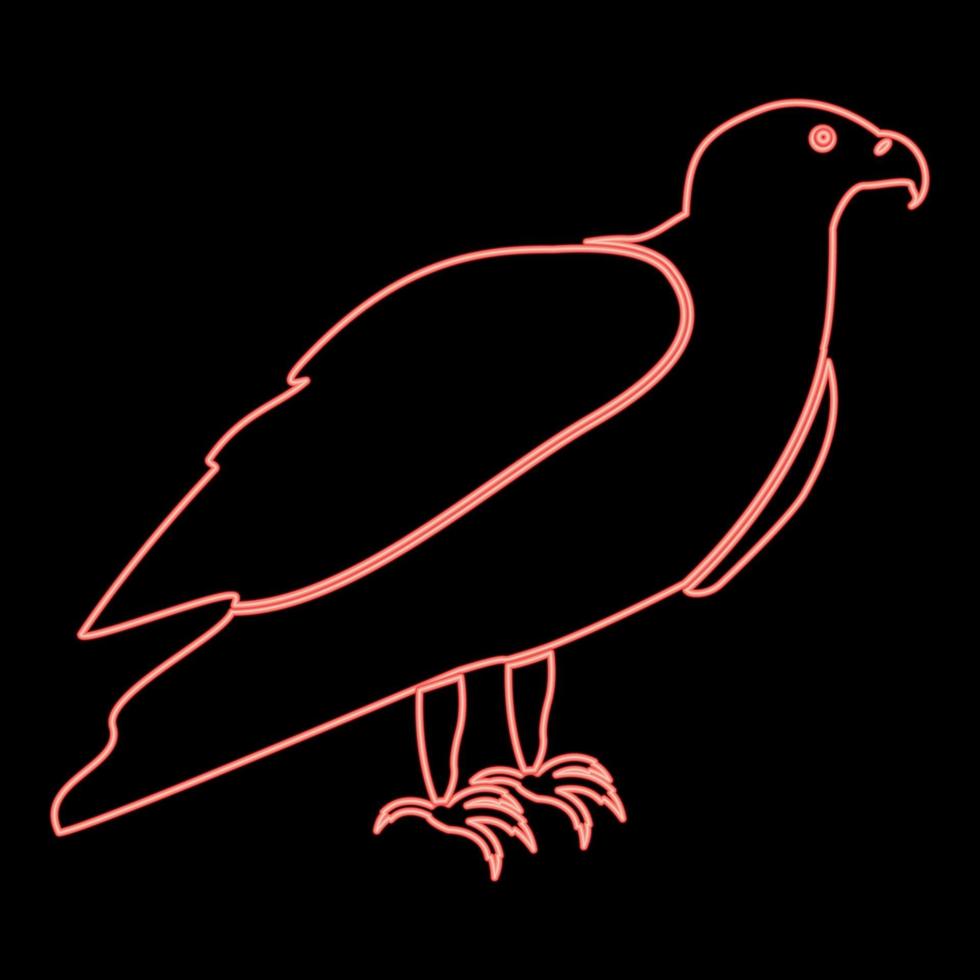imagen de estilo plano de ilustración de vector de color rojo de águila de neón
