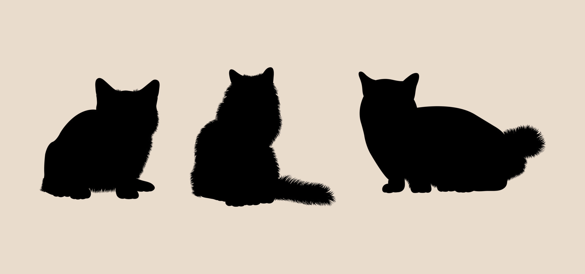 Free Vector  Cat icons collection