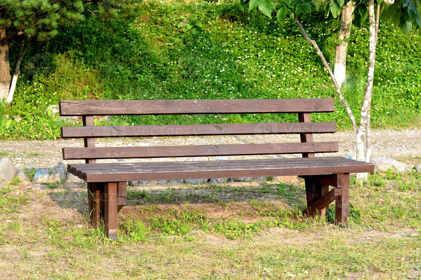 Brown wooden bench in the park. Summer sunny day. Green grass and trees. Resting and relaxing area. Empty bench for sitting. Wood exterior material. photo