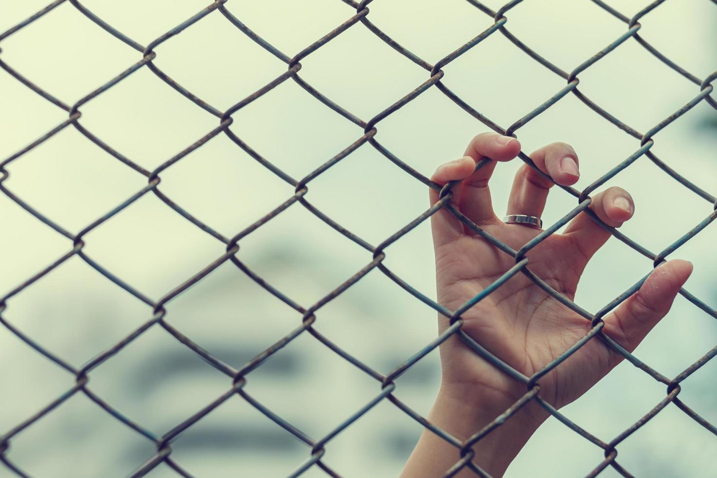 Hand with metal fence, feeling no freedom photo