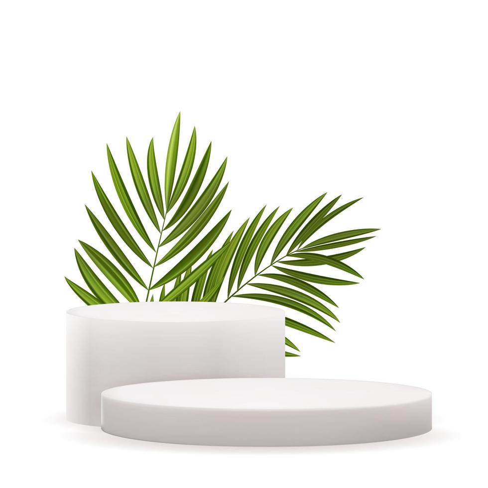 Realistic 3d  pedestals with palm leaves boxes. Copy space vector illustration