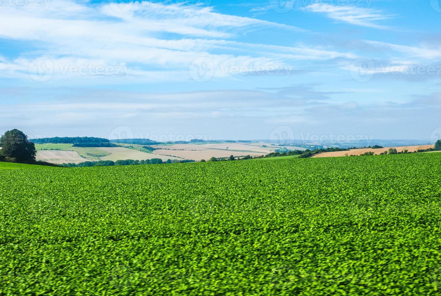 HDR English country panorama in Salisbury photo