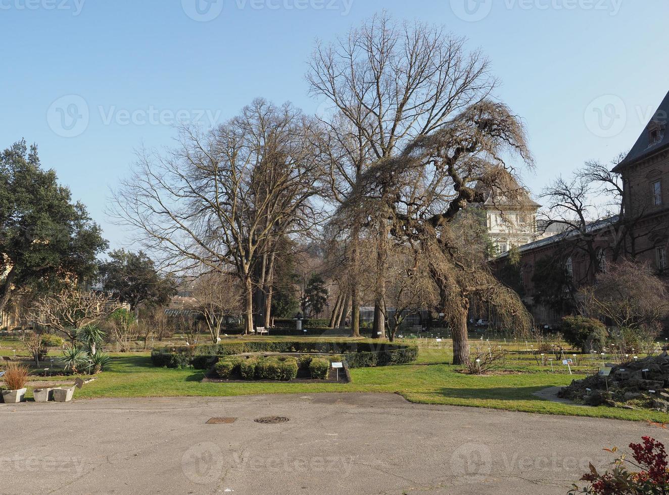 Botanical Gardens in Turin photo