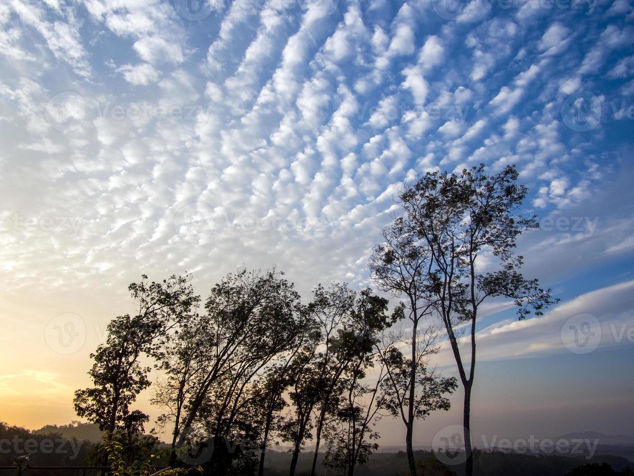 Cloudy Sunrise with Trees photo