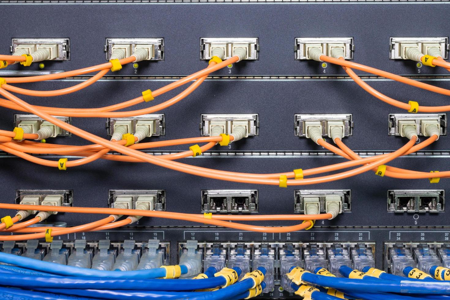 The network cables to connect the port of a switch to connect internet network, concept Communication technology photo