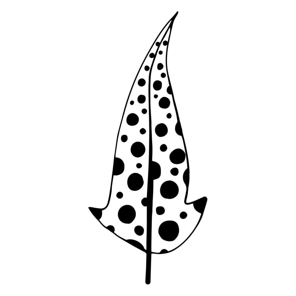 Vector icon beautiful vintage feather with polka dots. Isolated bird feather on a white background. Black outline, doodle illustration