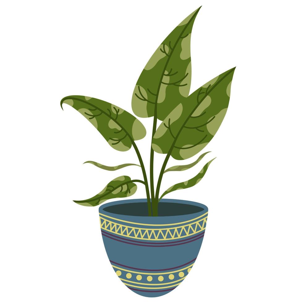 ilustración vectorial de una flor interior en una olla. icono de dieffenbachia aislado sobre fondo blanco. grandes hojas moteadas de una planta de casa en una maceta de cerámica gris. estilo plano vector