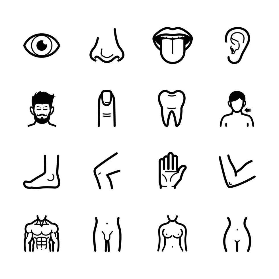 iconos de anatomía humana con fondo blanco vector