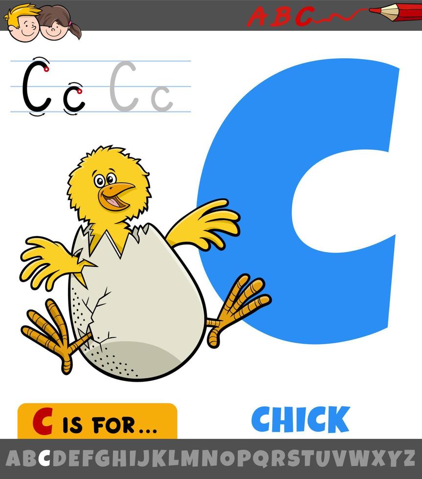 letter C from alphabet with cartoon chick animal character vector