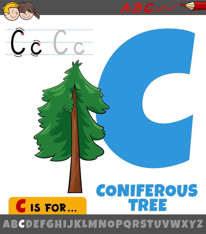 letter C from alphabet with cartoon coniferous tree vector