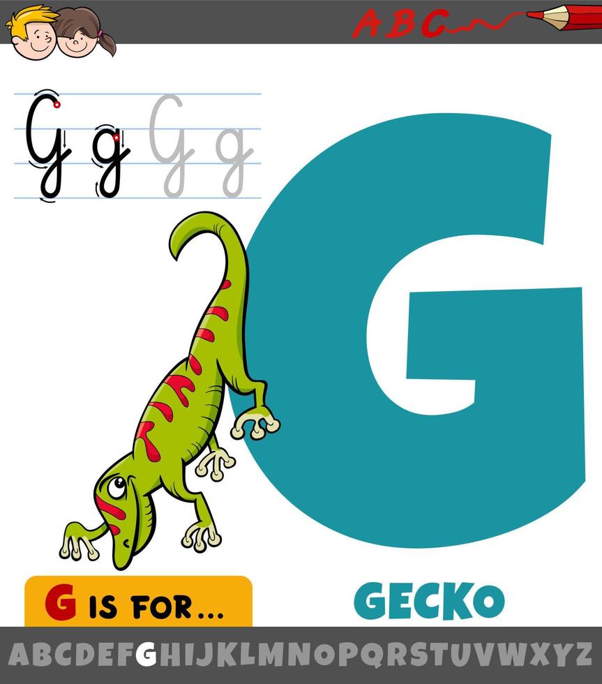 letter G from alphabet with cartoon gecko animal character vector