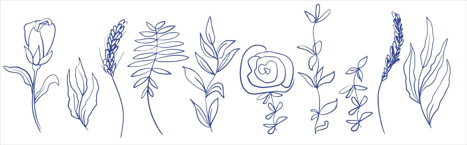 Abstract botanical elements for design. Field grass and flowers. Branches with leaves, roses and peonies. Minimalism. Linear drawing vector