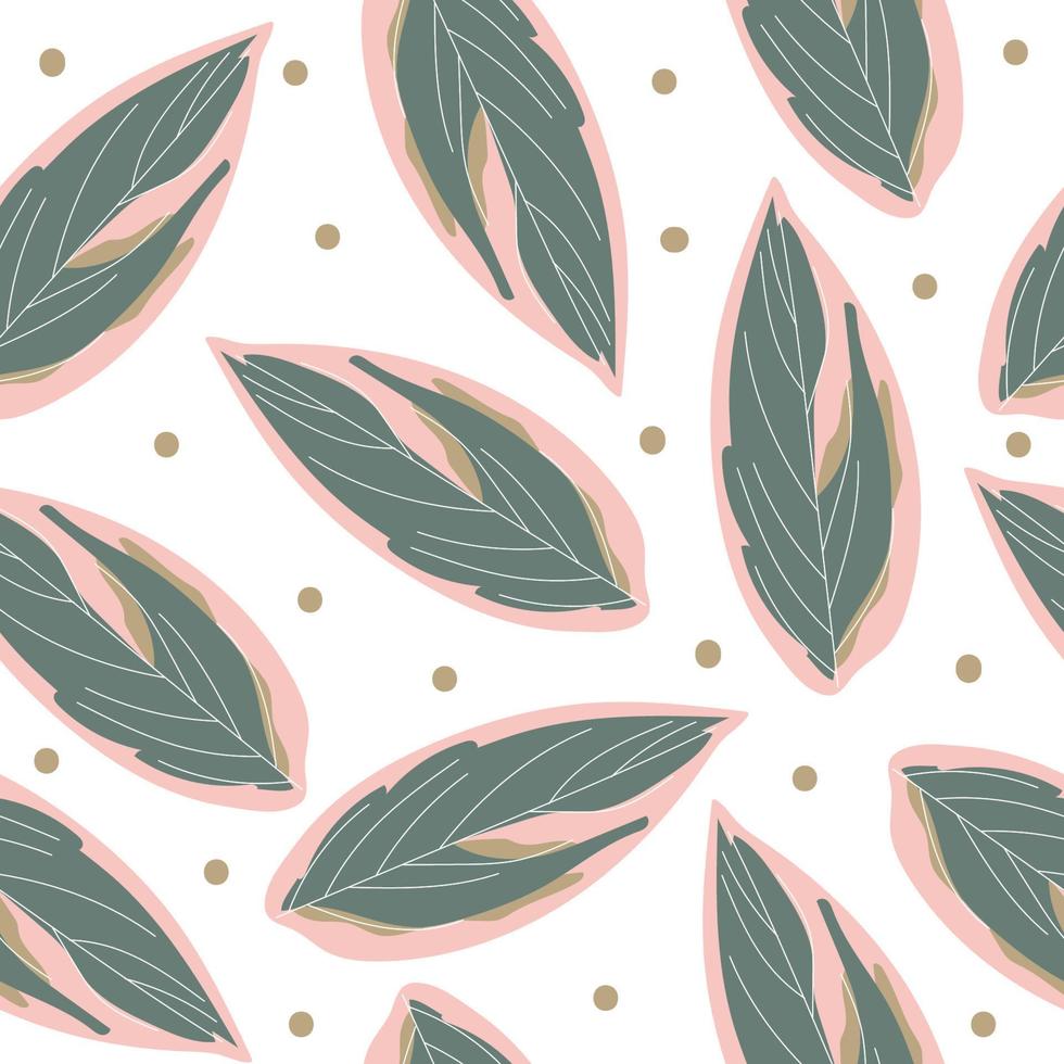 Ctenanthe oppenheimiana beautiful green - pink leaves seamless pattern, vector illustration.