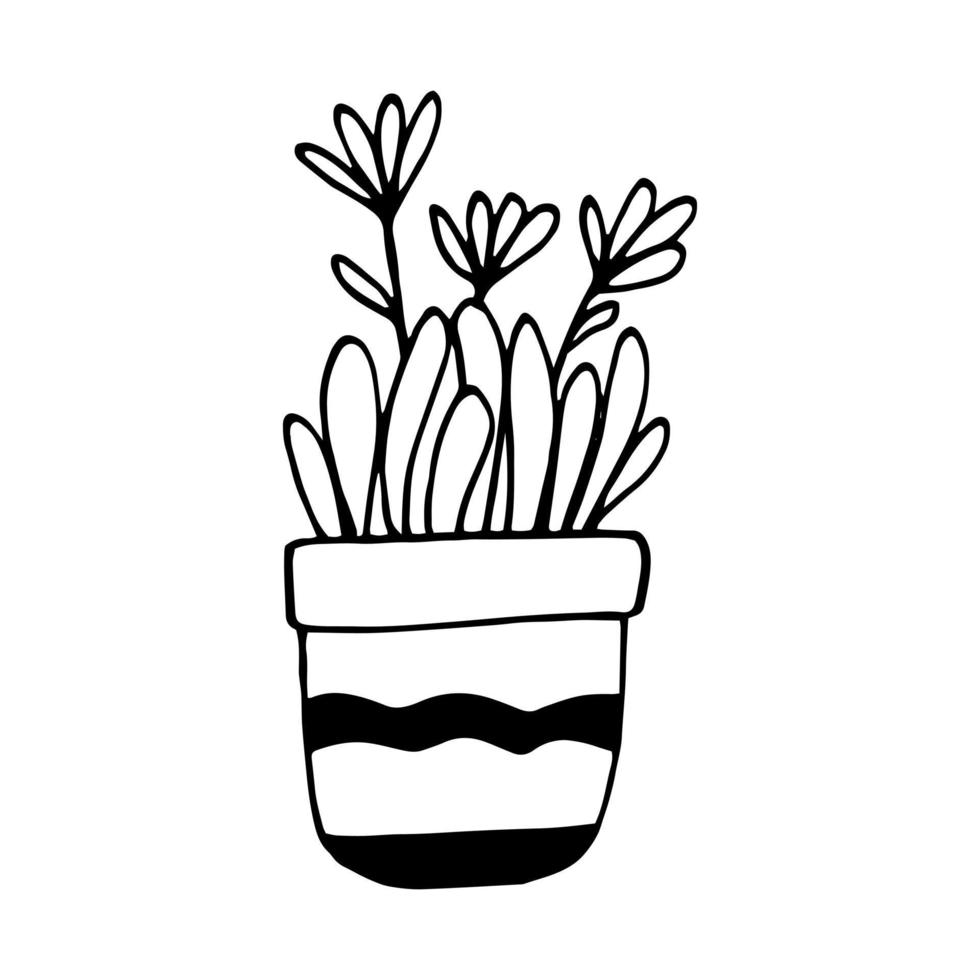 chamomile in a pot icon hand drawn. , minimalism, scandinavian, monochrome, nordic sticker plant flower vector
