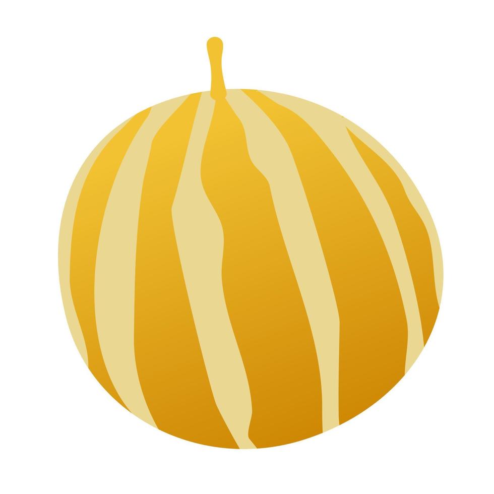 Muskmelon fruit cartoon. vector