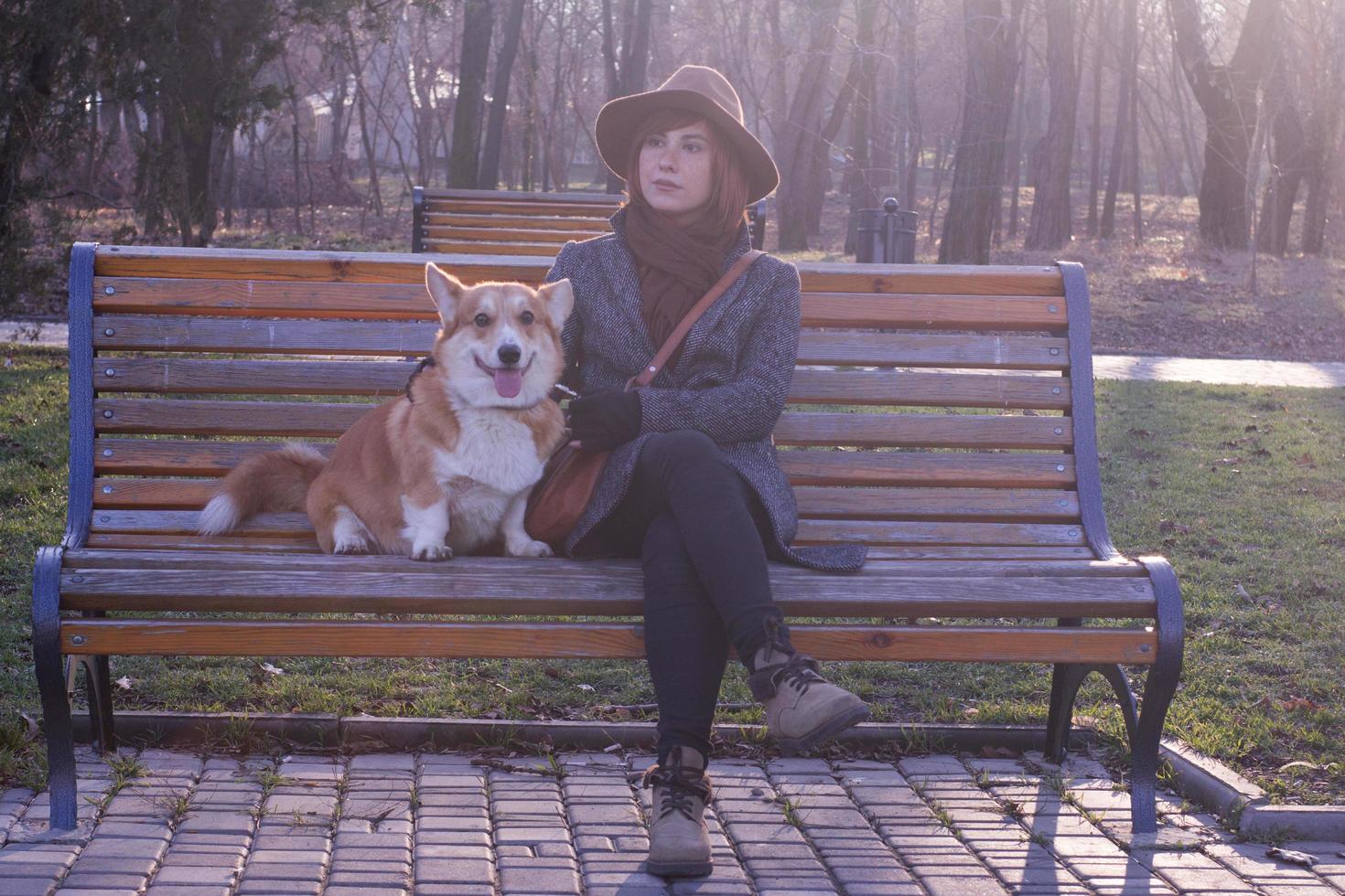 young woman in hat in park walk with cute corgi dog, sunny autumn day photo