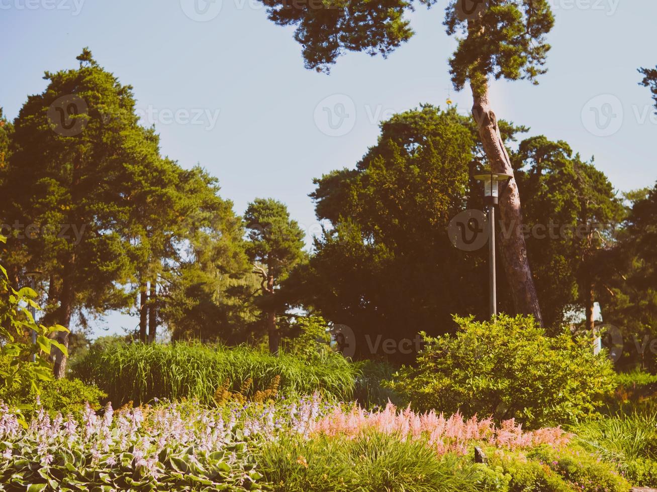 diseño del paisaje, hermoso parque con flores y coníferas, kotka, parque isopuisto, finlandia foto