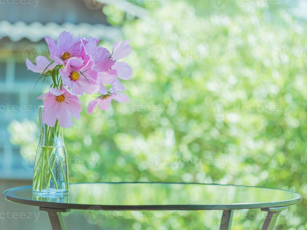 hermoso fondo verde soleado de verano o primavera, jarrón con flores delicado cosmos rosa foto