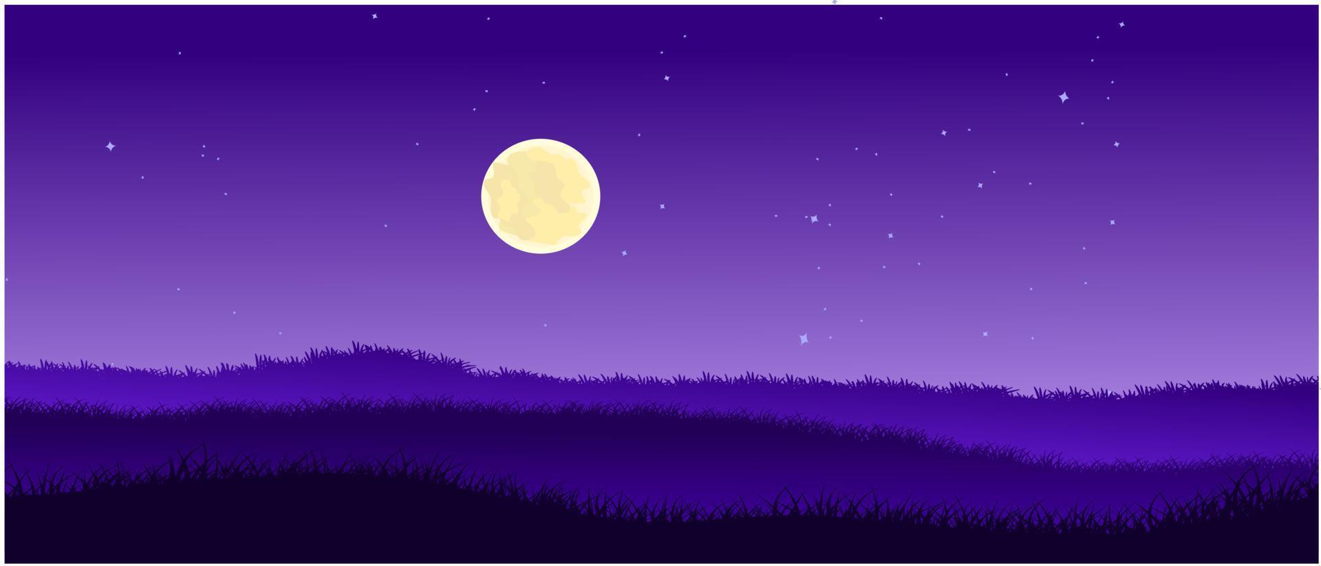 night grass, meadow with starry night sky background vector