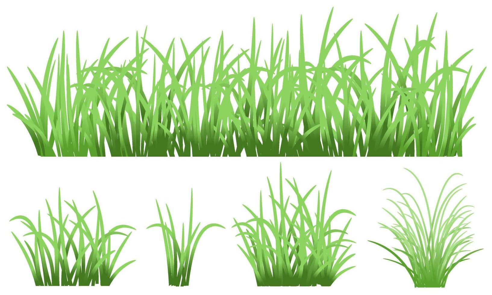 green grass isolated vector