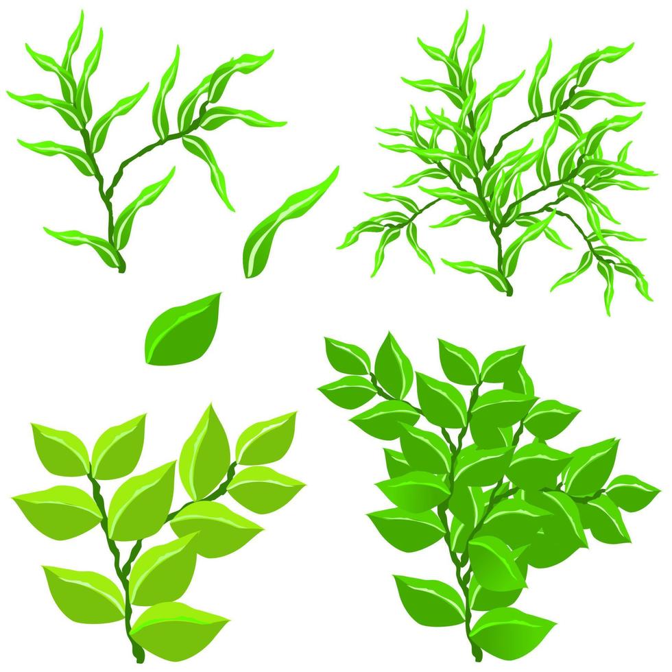 green bush vector, foliage herbs isolated vector