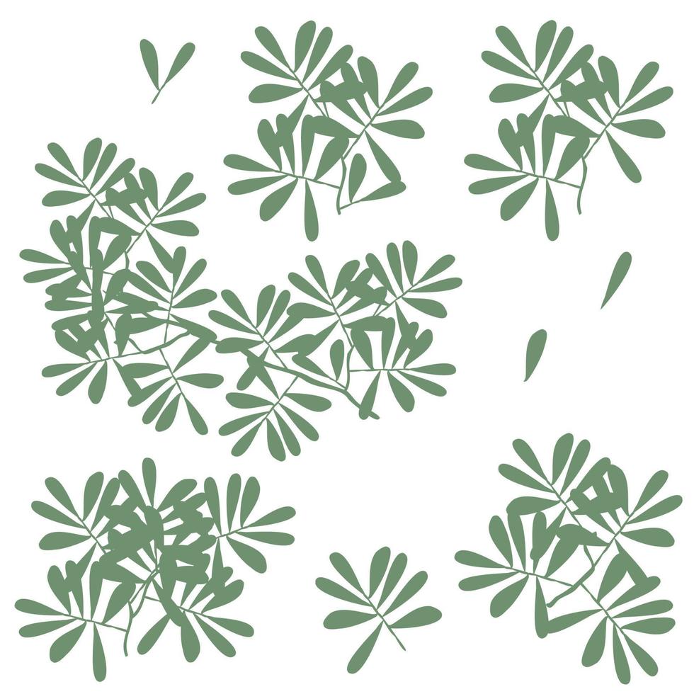 silueta de follaje, dibujo de arbusto aislado vector