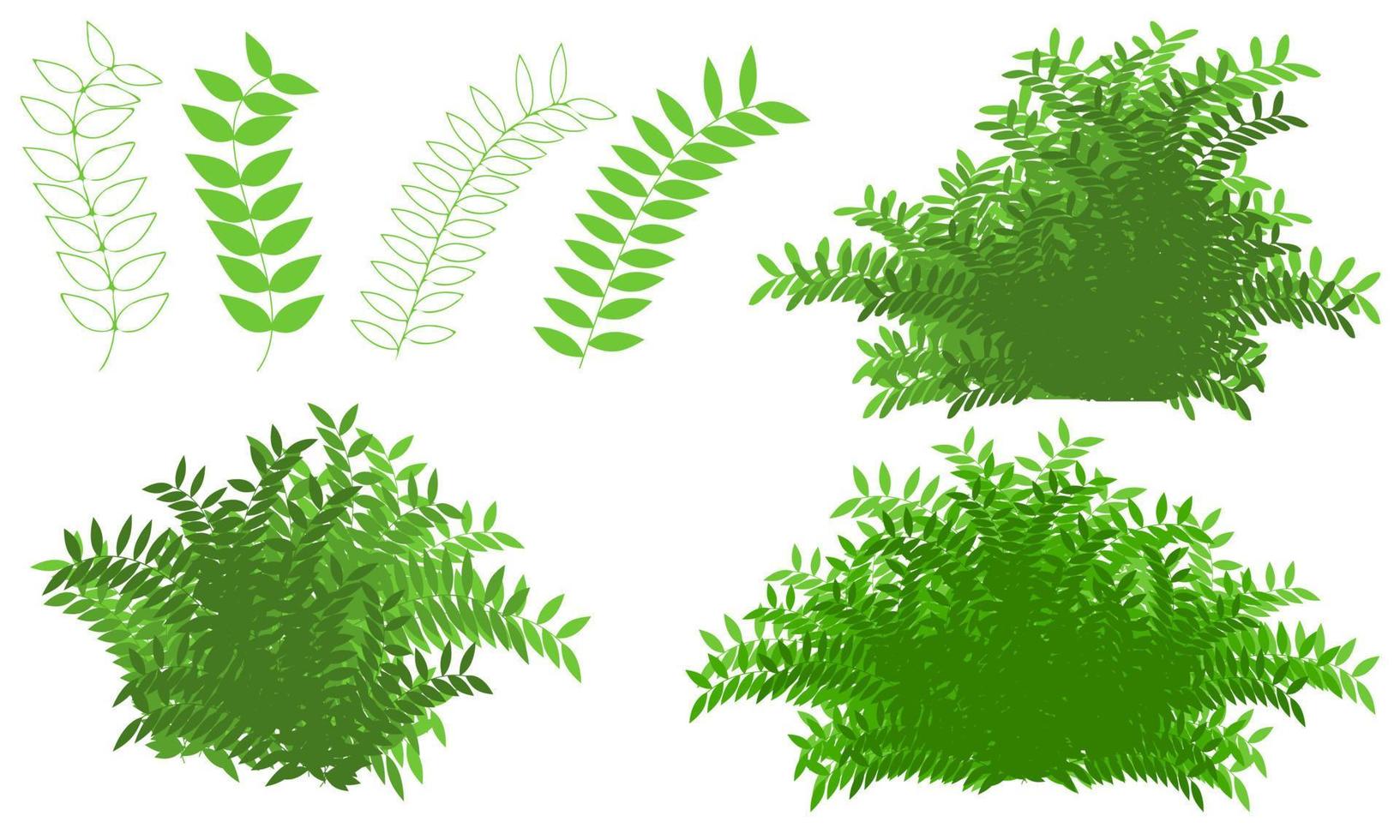 green bush drawing, herbs foliage vector