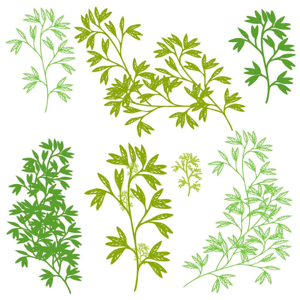 silueta de hierbas, conjunto de vectores florales de follaje verde