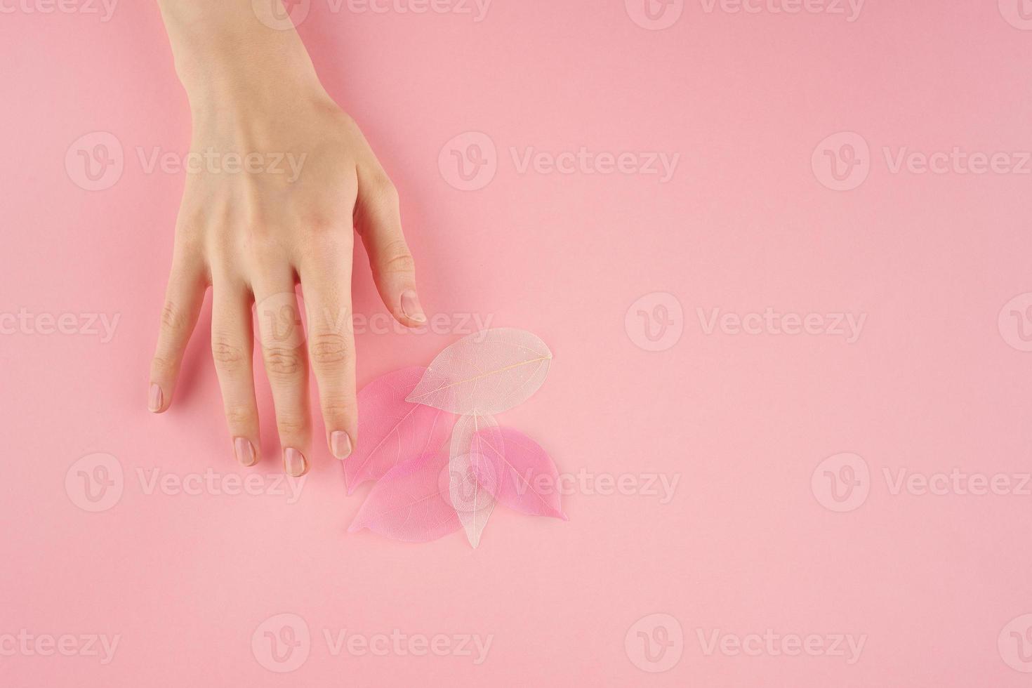 mujer tocando hojas rosas sobre fondo pastel vista superior copia espacio, concepto foto