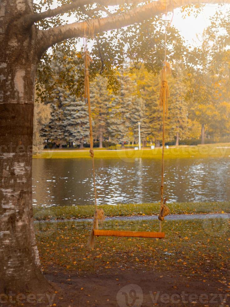 columpio casero de una tabla y cuerda en un árbol en un parque o jardín, nadie, espacio vacío, fondo de otoño foto