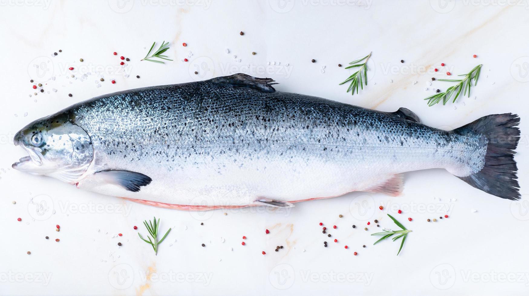 pescado de salmón grande crudo fresco entero foto