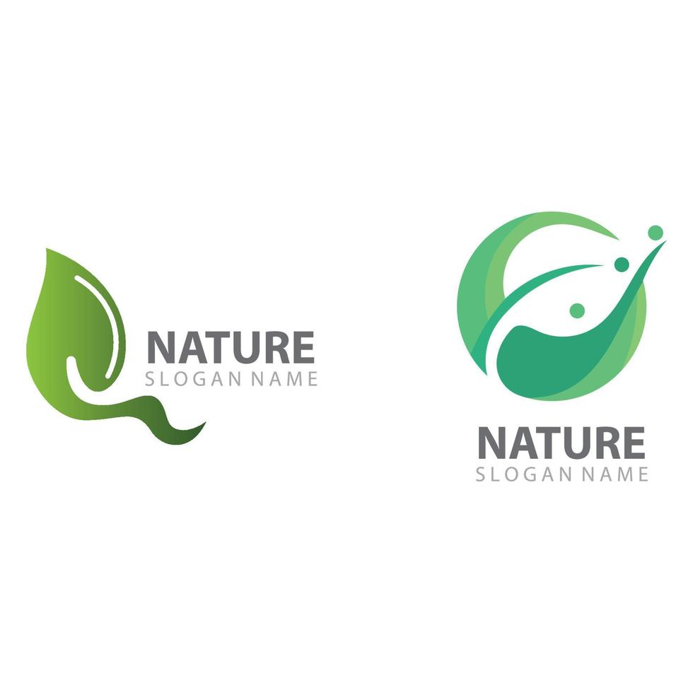 vector de plantilla de diseño de logotipo de naturaleza de hoja