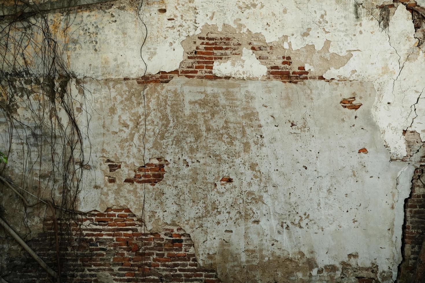 An old brick wall with perched roots, Background texture. photo