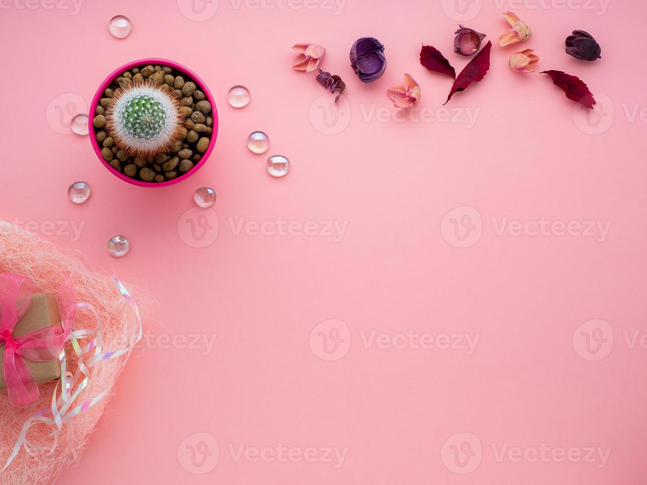 succulent flower, potted cactus, dry leaves and gift box on bright pink background, top view photo