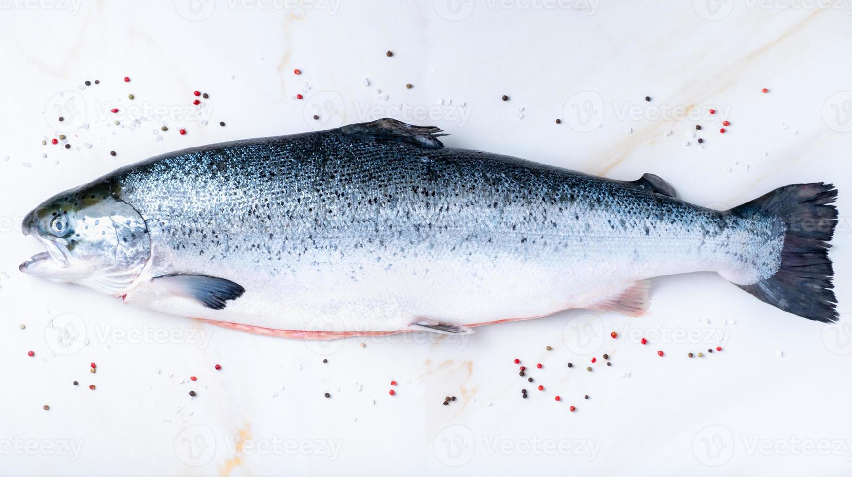 pescado de salmón grande crudo fresco entero foto