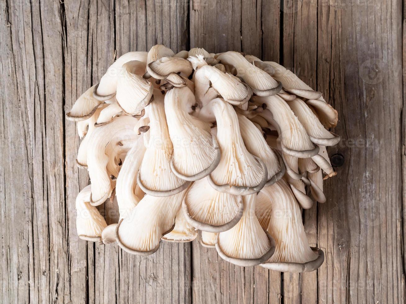 edible mushroom oyster mushroom on old rustic wooden table, top view photo
