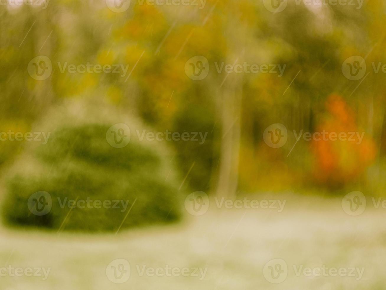 Light drizzling rain weather in Park, garden in village in nature, colors of autumn. Autumn background, blur, defocused photo