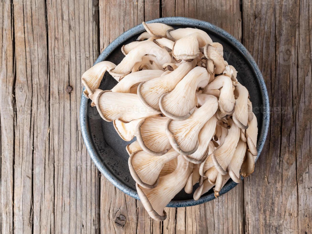 edible mushroom oyster mushroom on old rustic wooden table, top view photo