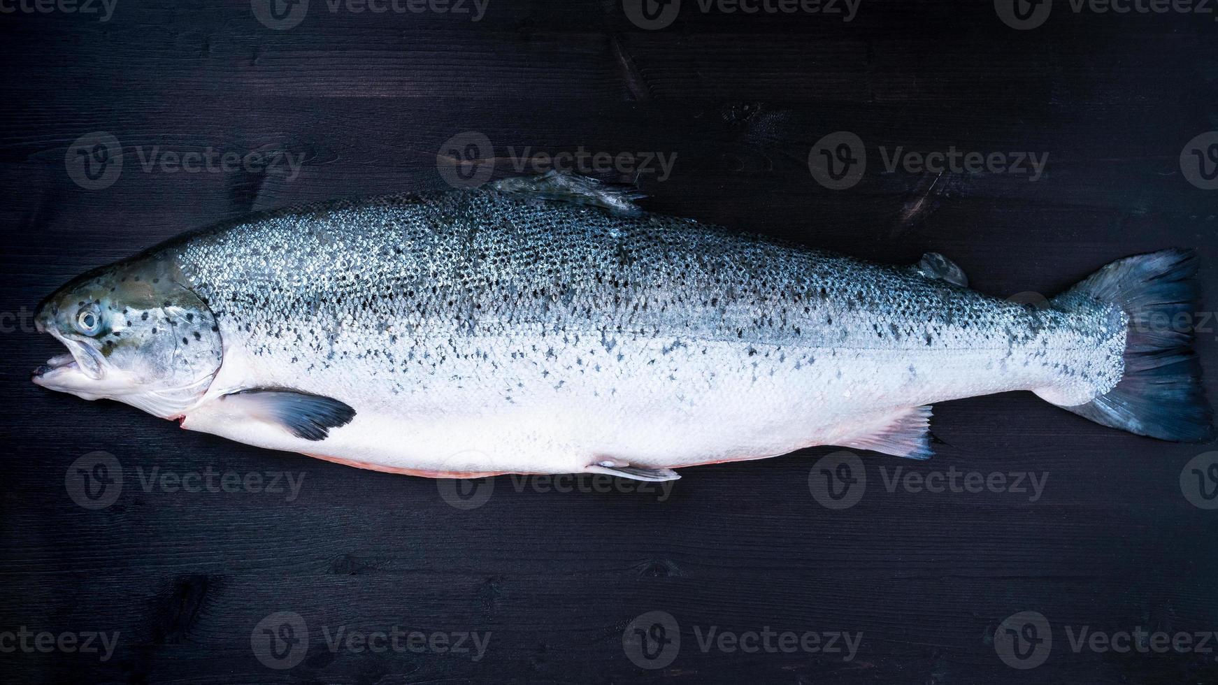 pescado de salmón grande crudo fresco entero foto