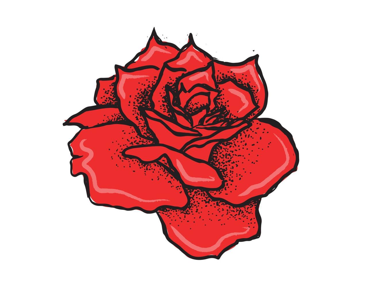 flor de rosa, ilustración dibujada a mano, vector. vector