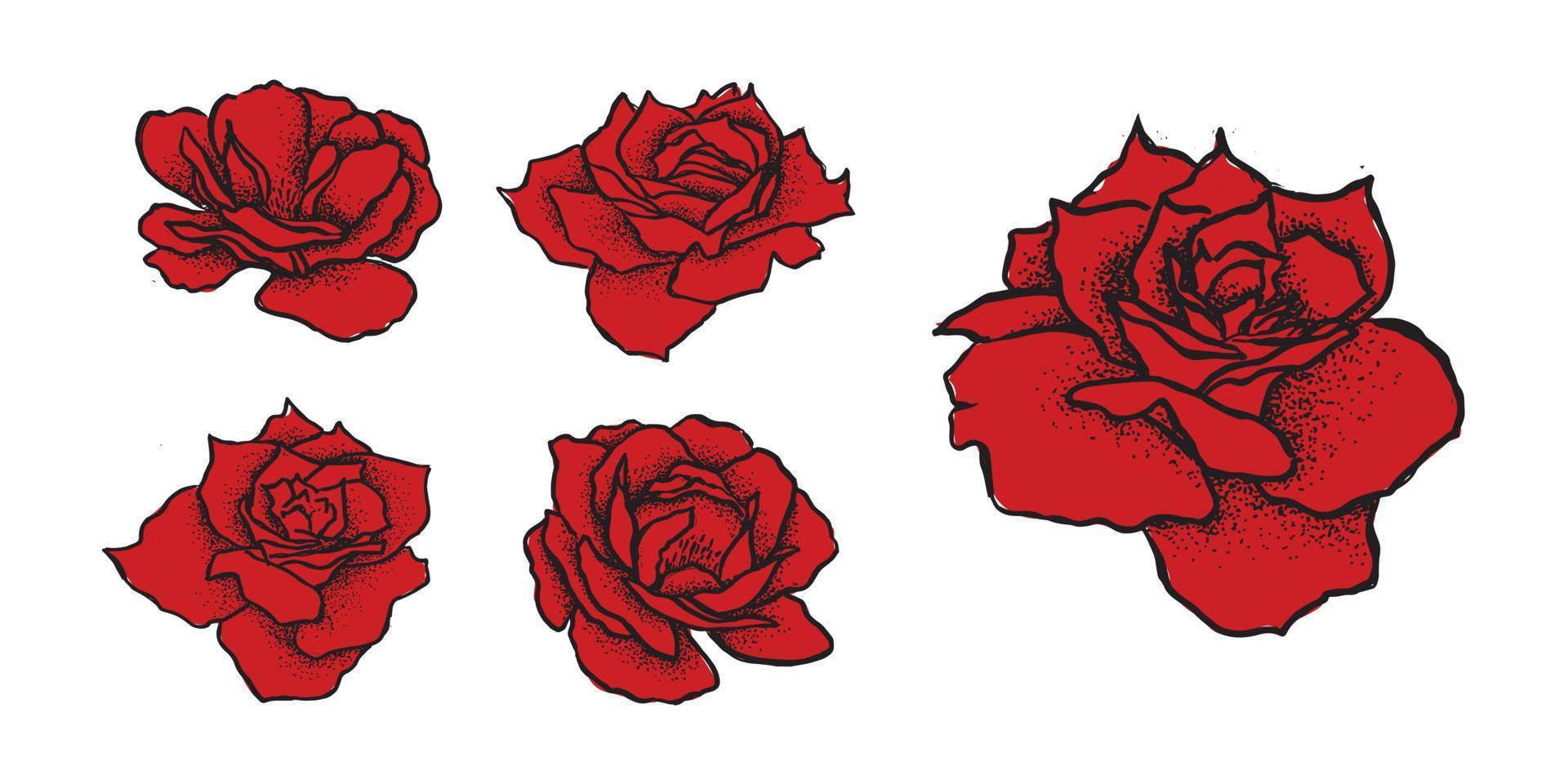 Rose flower, hand drawn illustration, vector. vector